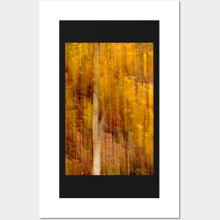 Autumn abstract Posters and Art